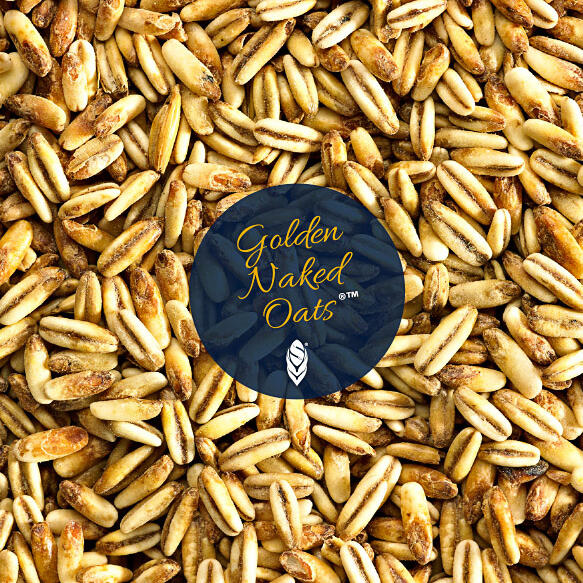 Golden Naked Oats Lbryggning Ab